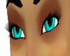 blue/black fur eyes